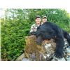 Image 3 : Coastal Black Bear Hunt and a Custom 30-06