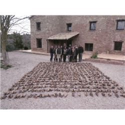 Spanish Partridge Shoot