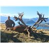 Image 1 : Red Stag Hunt