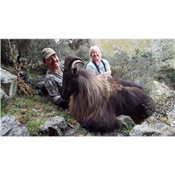 Free-Range Bull Tahr Hunt