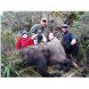 Image 2 : Free-Range Bull Tahr Hunt