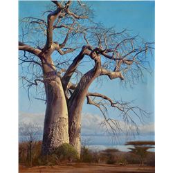 "Baobab" by Joshua Spies
