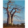 Image 1 : "Baobab" by Joshua Spies