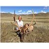Image 2 : Mongolian Altai Wapiti Hunt