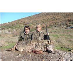 Balkan Chamois + European Wolf Hunt