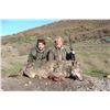 Image 1 : Balkan Chamois + European Wolf Hunt