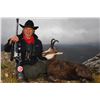 Image 5 : Balkan Chamois + European Wolf Hunt