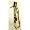 Image 1 : Canon City Bridle