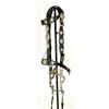 Image 3 : Keyston Bro's Silver Saddle