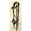 Image 1 : Attractive Silver Bridle