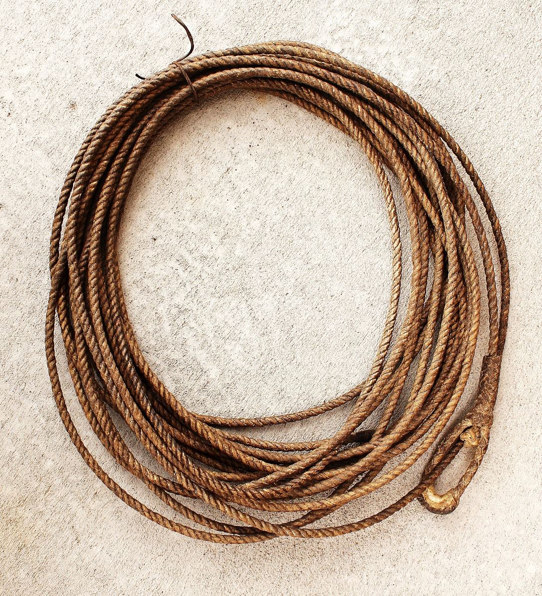 Twisted Rawhide Riata
