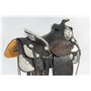Image 10 : Hermann Heiser, Denver, Saddle, Headstall & Martin
