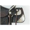 Image 14 : Hermann Heiser, Denver, Saddle, Headstall & Martin