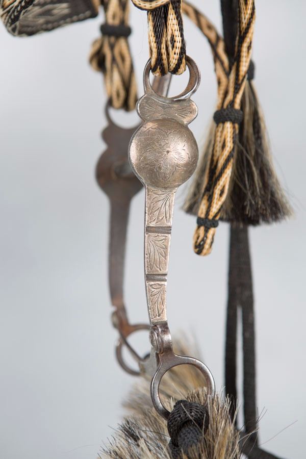 Hitched Horsehair Bridle