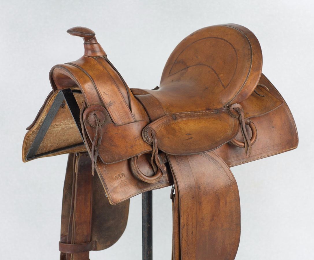 Western Catalog Saddle