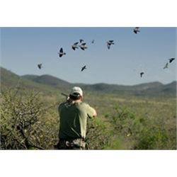 4-Day Dove Hunt for 3 Hunters in Argentina