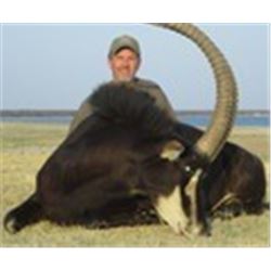 7-Day Sable and Gemsbuck Hunt for Two Hunters in South Africa