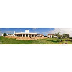 4-Day High Volume Dove Hunt for Four Hunters in Argentina, Miles and Miles Outfitters