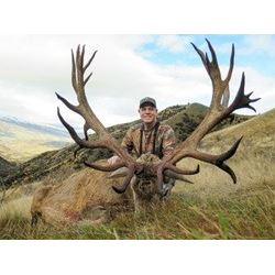 4-Day Hunt for 2 Hunters in New Zealand and Taxidermy