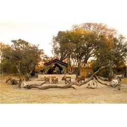 Chattaronga Safaris Cape Buffalo Hunt