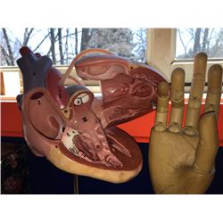 Heart & Hand Display