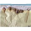Image 1 : Victorian Hat Pins