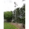 Image 6 : 40' WINDMILL