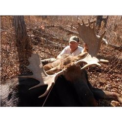 Buckbrush Outfitters – Trophy Moose and Wolf Combination Hunt – Alberta, Canada