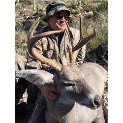 ARIZONA ARCHERY HUNT FOR DEER-JAVALINA-PREDATORS – QUAIL