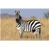 Image 1 : Royal Karoo Safaris South Africa