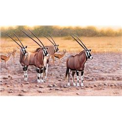 “Etosha Lookouts” by Cynthie Fisher