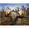 Image 1 : Tahltan Outfitters – Dease Lake, BC – Moose Hunt