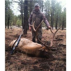 Trophy Elk Hunt – Burns, Oregon