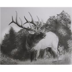 “Boogie Woogie Bugle Boy” by 14 year old Hunter Adams