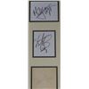 Image 3 : COMPLETE ROLLING STONES AUTOGRAPHS.