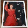 Image 1 : RAY BELLISARIO 'SOPHIA LOREN AT CANNES 1966'