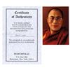 Image 1 : DALI LAMA.