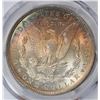 Image 3 : 1891 MORGAN SILVER DOLLAR, PCGS MS-63  RAINBOW COLORS!