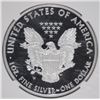 Image 3 : 2011-W 25th ANNIVERSARY AMERICAN SILVER  EAGLE, NGC  PF-70  ULTRA CAMEO