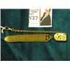 Image 2 : Gold-filled Chain with Mesh strap.