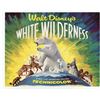 Image 1 : "White Wilderness" Lobby Card Set.