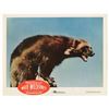 Image 8 : "White Wilderness" Lobby Card Set.