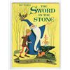 Image 1 : The Sword in the Stone Hardcover Book.