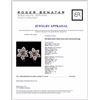 Image 3 : 18K White Gold 5.54ctw Fancy Color Diamond Earring