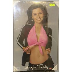 NEW SHANIA TWAIN WALL PICTURE 34.5 H X 22.5 W