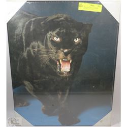 BRAND NEW BLACK PANTHER PICTURE 20 H X 16 W