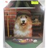 Image 1 : BRAND NEW BUDWEISER DOG PICTURE 20 H X 16 W