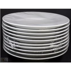 10PC LARGE PLATES