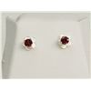 Image 1 : #27-10KT GOLD GARNET AND MOTHER OF PEARL EARRINGS