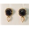 Image 1 : 14K GOLD BLACK DIAMOND(7.0CT) & WHITE